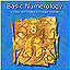 Basic Numerology
